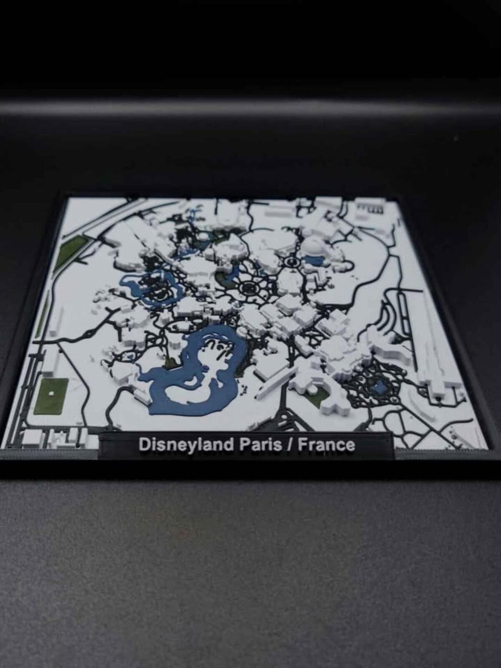 Disney World Mini Maps